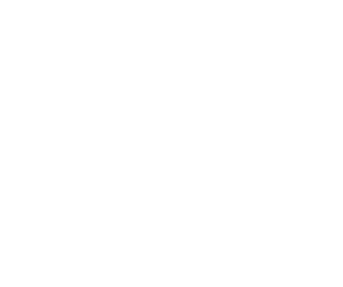 Logo ASEI