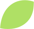 hoja