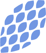 hoja