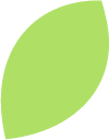 hoja