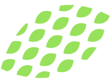 Hojas verdes de adorno